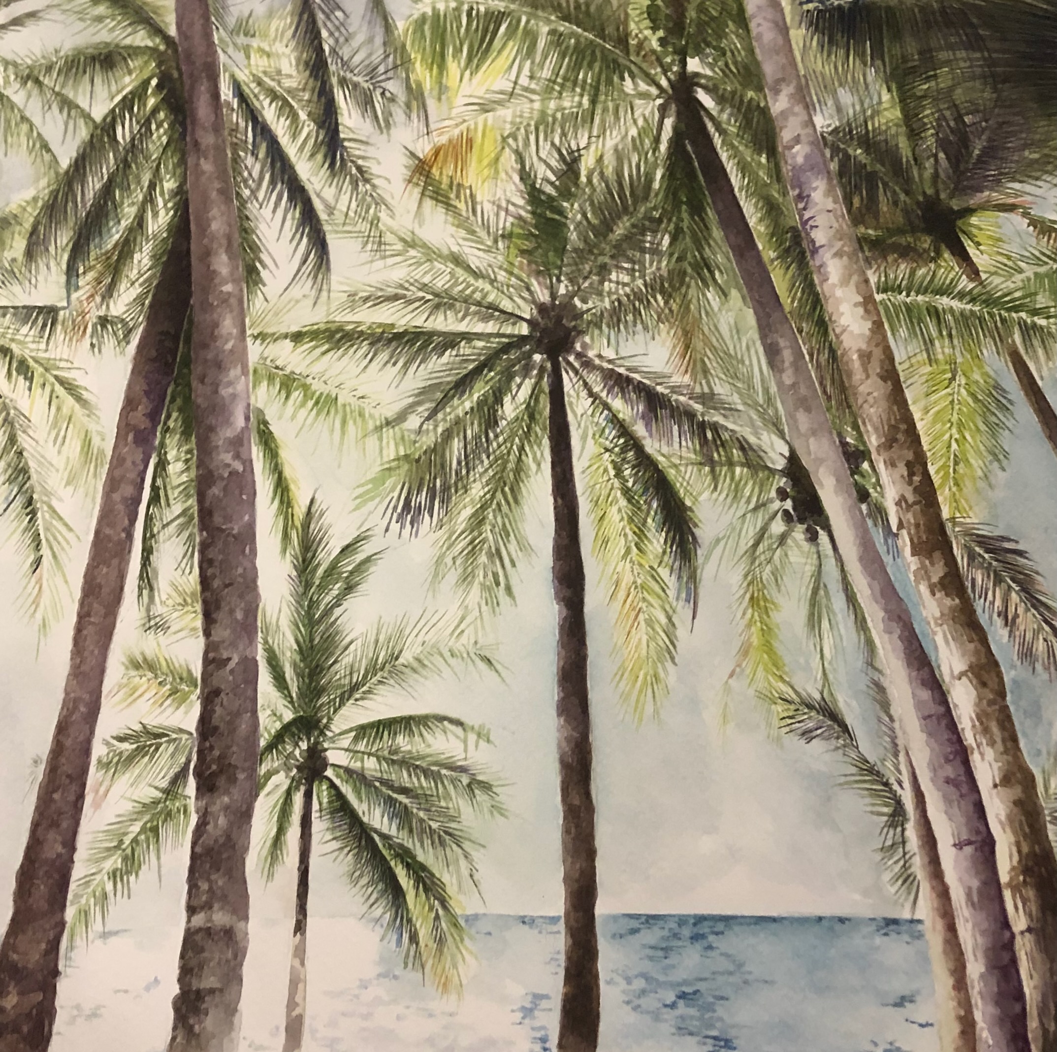 Palm trees