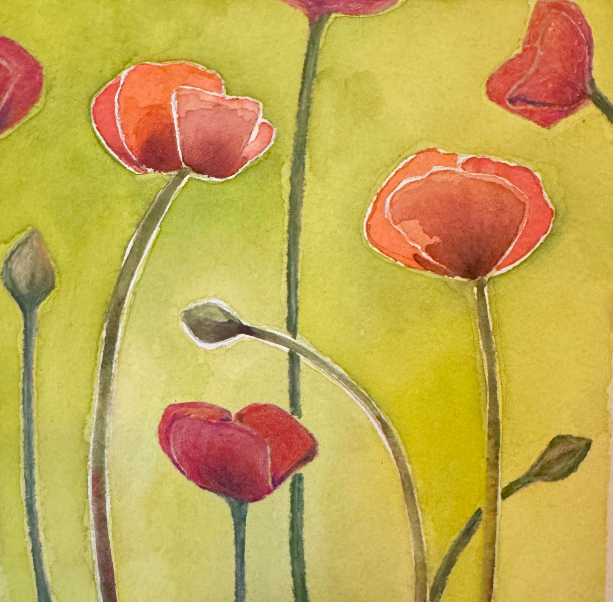 Poppies — watercolor and pencil