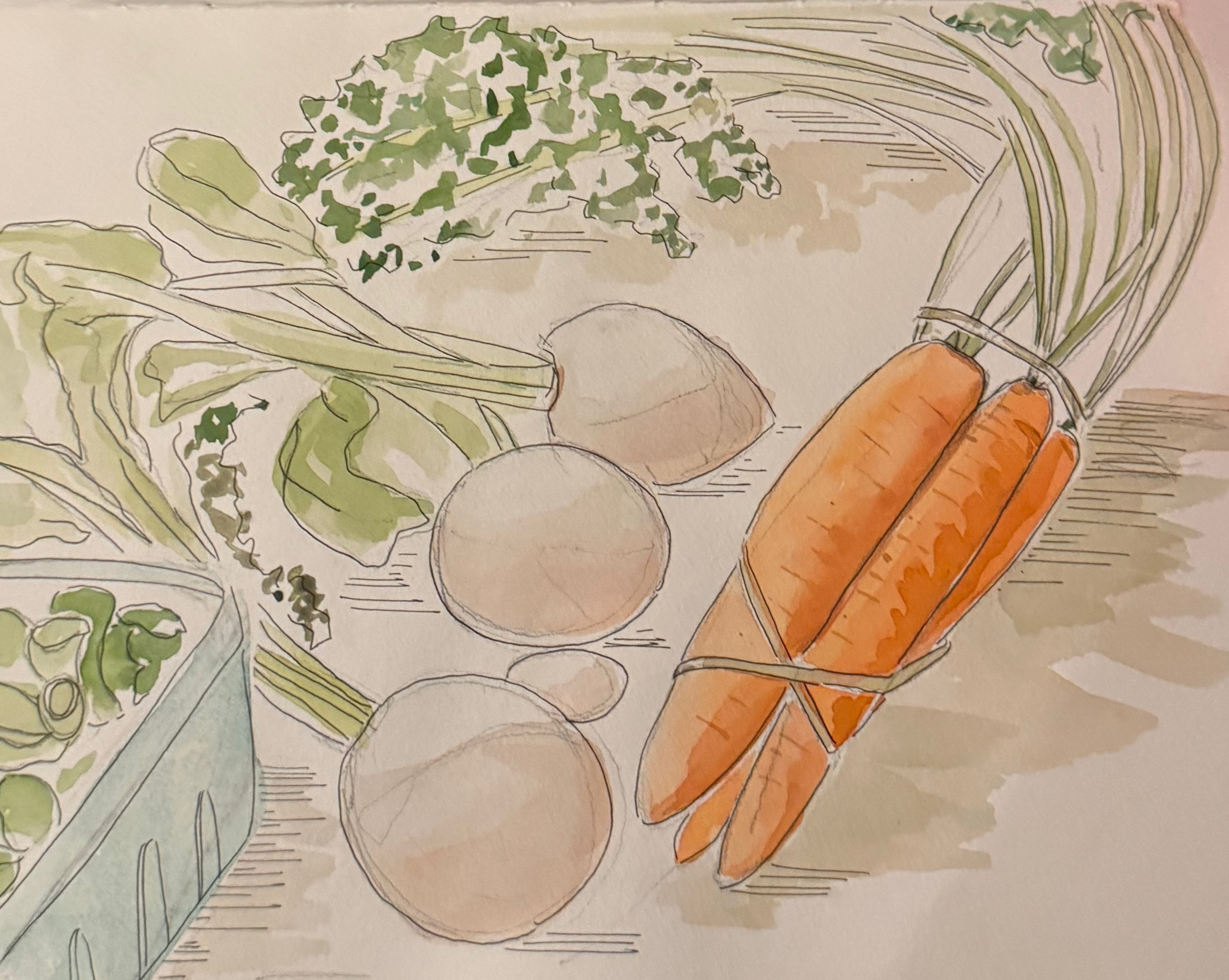 Vegetable studies